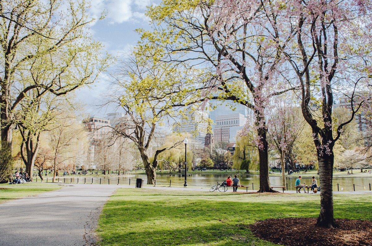 DanubiusLdn's tweet photo. Spring has sprung, and Regent's Park is calling! A perfect day for a leisurely stroll. 🌿 Happy #FirstDayofSpring!

#RegentsParkLondon #LetsDoLondon #LoveLondon #RegentsPark #VisitLondon #ParkLife #LondonParks #MyLondon #SpringTime #LondonSpring https://t.co/EQk51gYWYo
