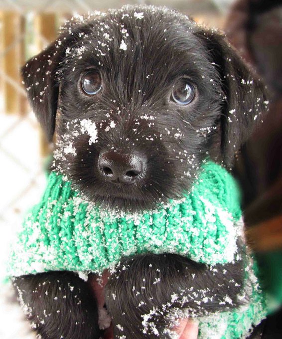 🪄 Fe_derica ✨◕ ‿ ◕✨ tweet media