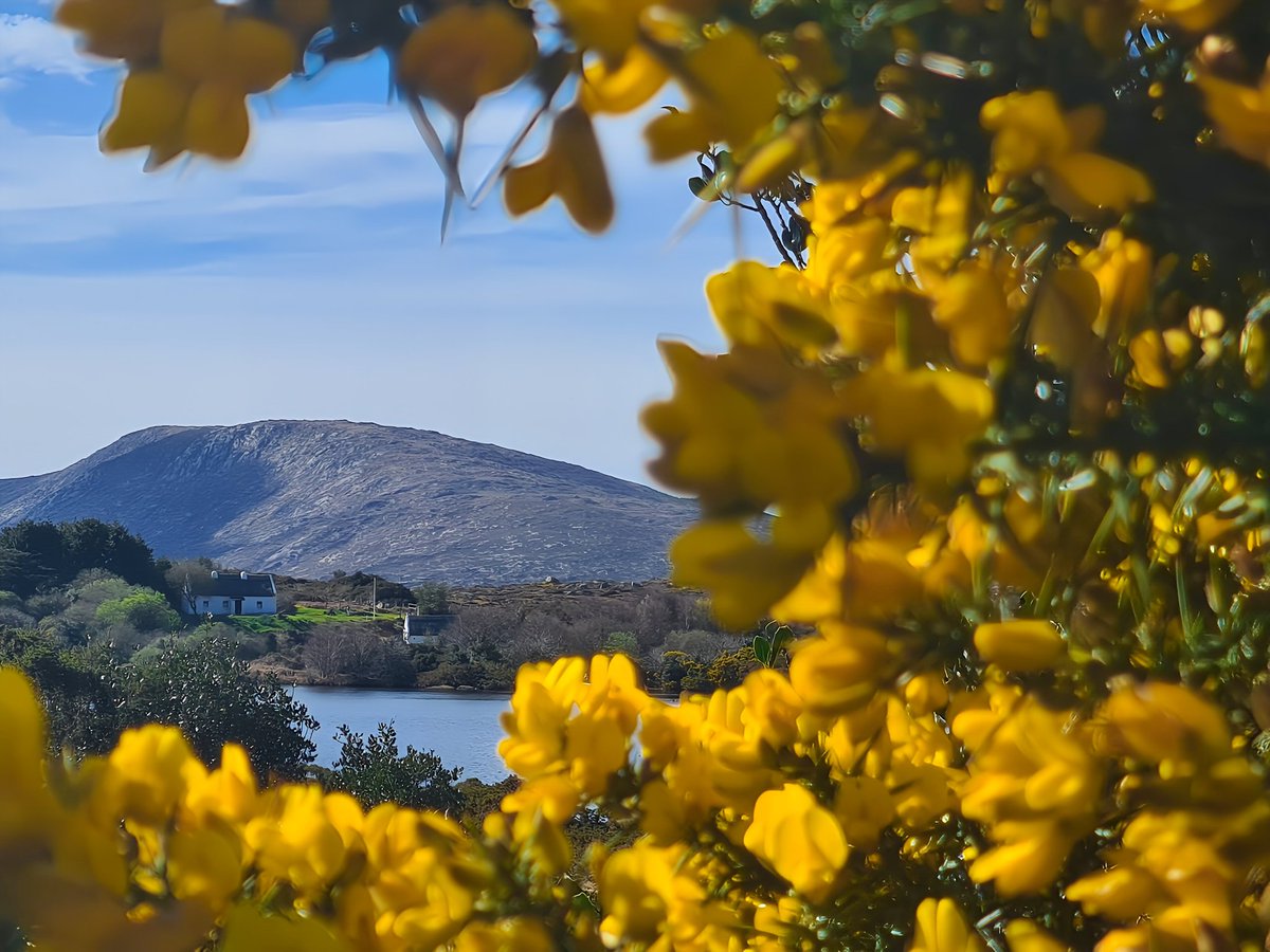 Ros Muc tráthnóna 📸💛 . . . #rosmuc #teachanphiarsaigh #gaillimh . . . @AimsirTG4 @AranConnemara @ConnemaraIe @CTribune @deric_tv @DiscoverIreland @galwaytourism @GoToIrelandUS @MetEireann @RTEToday @WeatherRTE