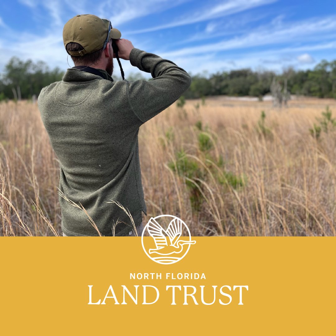North Florida Land Trust tweet media