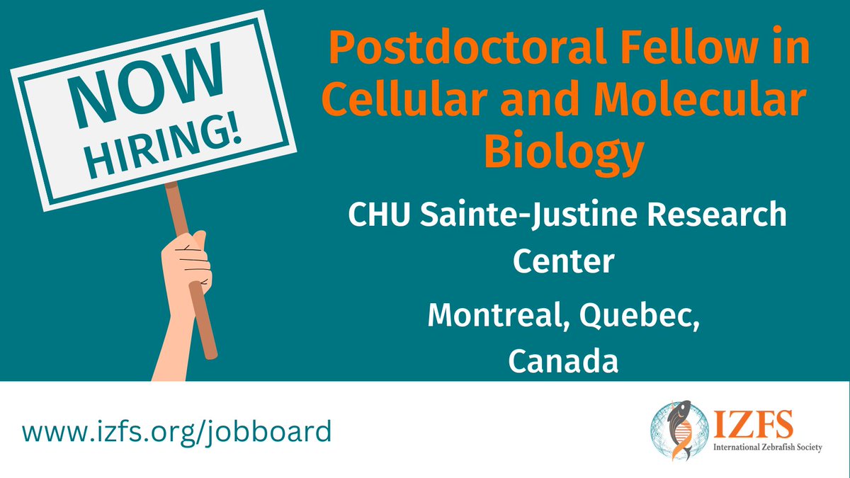 New Job Posting! Postdoctoral Fellow at the Marín-Juez lab at CHU Sainte-Justine Research Center in Montreal, Quebec, Canada. Learn more about this job opportunity and how to apply here: izfs.org/jobboard/ameri…