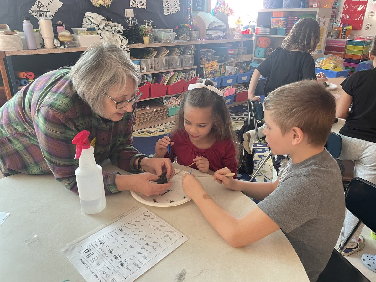 One of our coolest 2nd grade projects: dissecting owl pellets!!