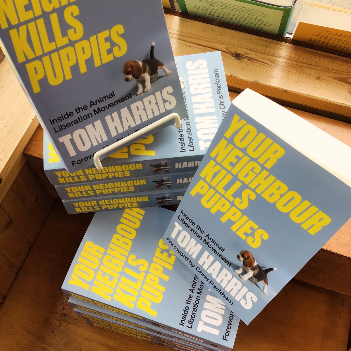 This new book on the Stop Huntingdon Animal Cruelty campaign drops today! Check it out: burningbooks.com/products/your-…
