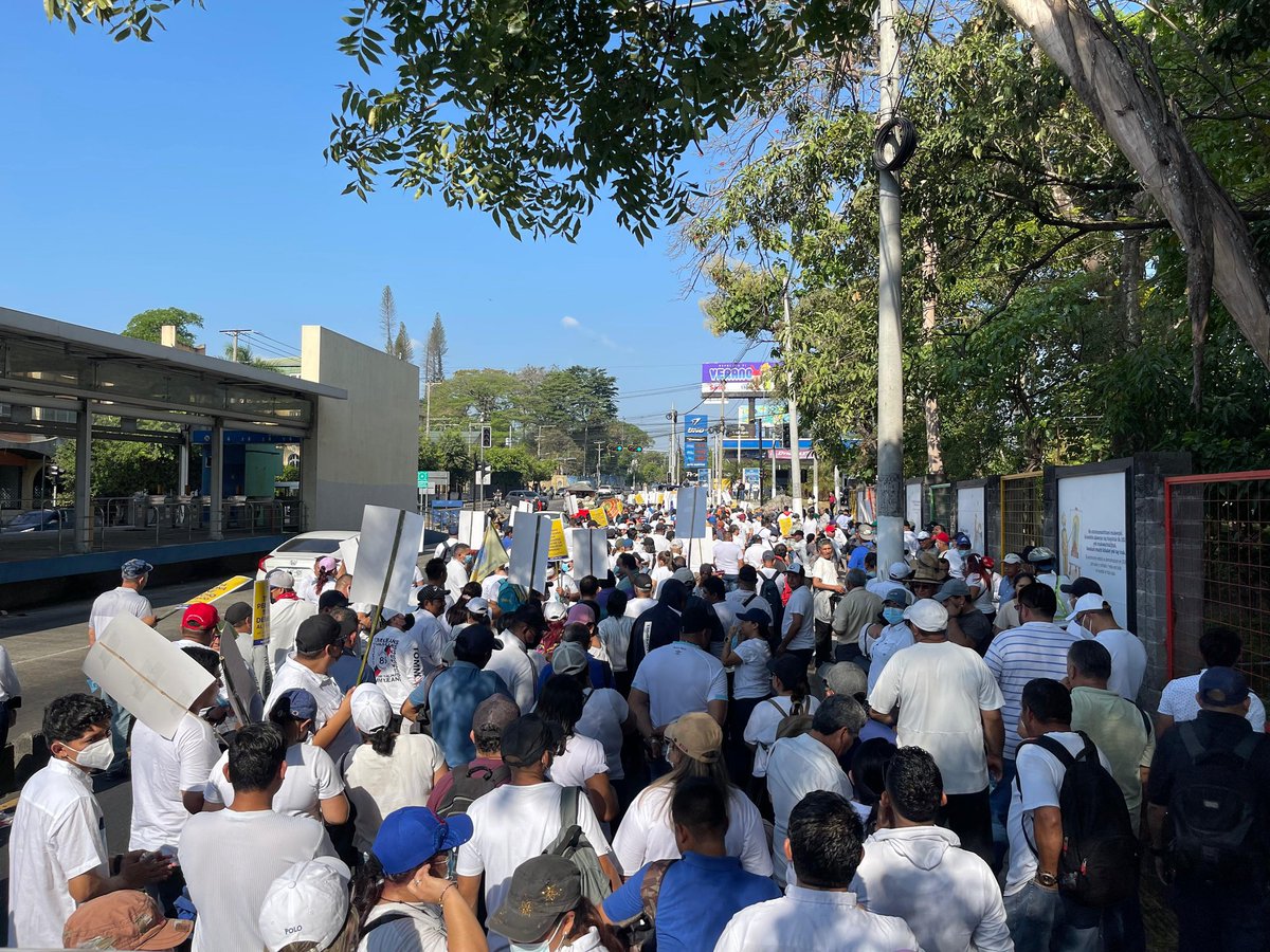 cctemp_ES's tweet photo. ¡Alcemos nuestras voces por la estabilidad laboral!
Ayer acompañamos a la Federación de Empleados Municipales en la marcha hacia el Ministerio de Trabajo. Juntos, defendemos nuestros derechos.
#CCTEM https://t.co/bt12YR8iVB