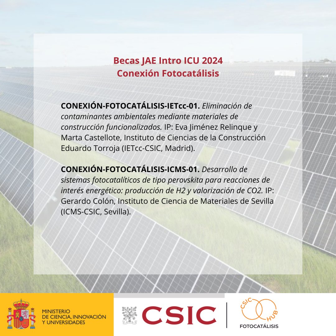 Conexión Fotocatálisis tweet media