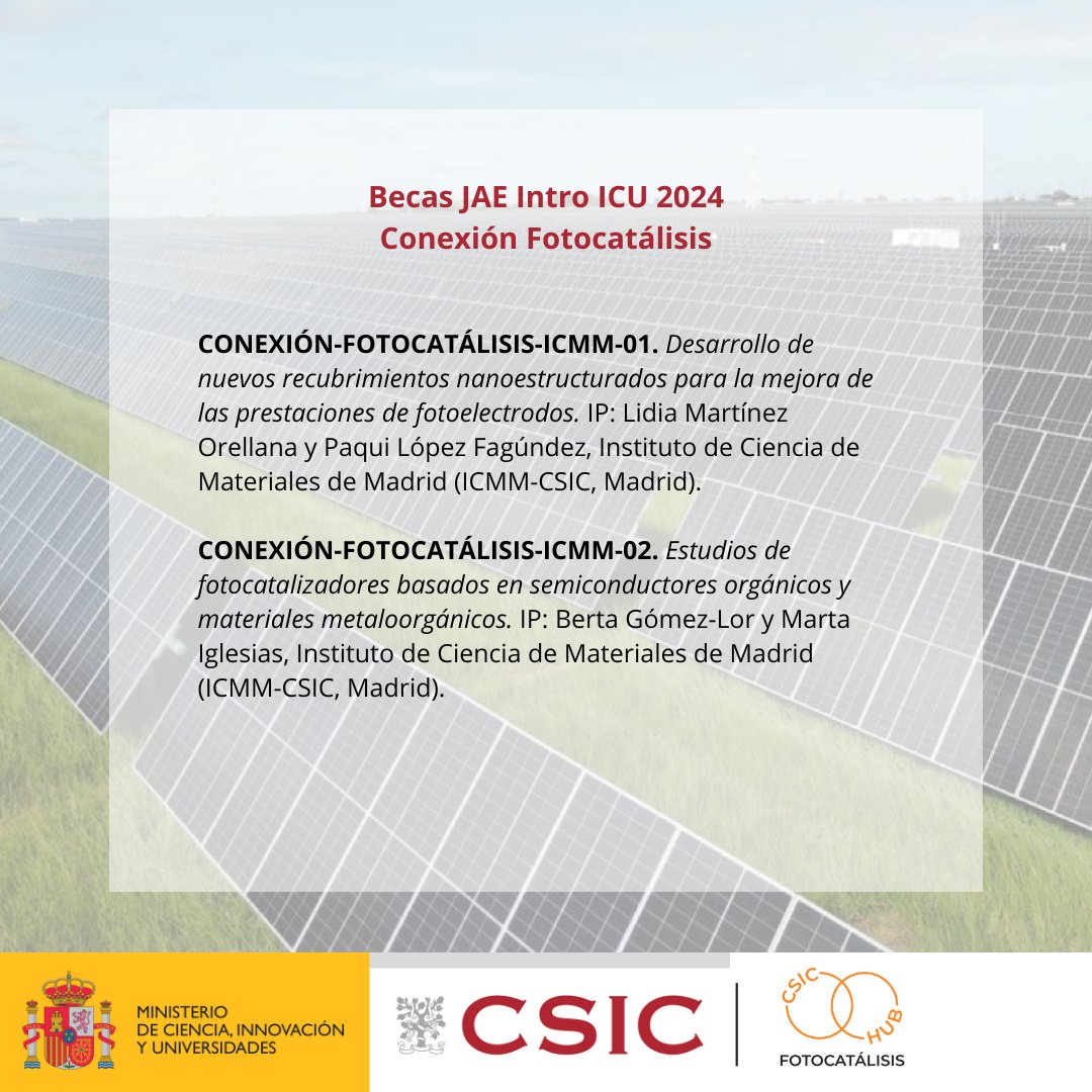 Conexión Fotocatálisis tweet media