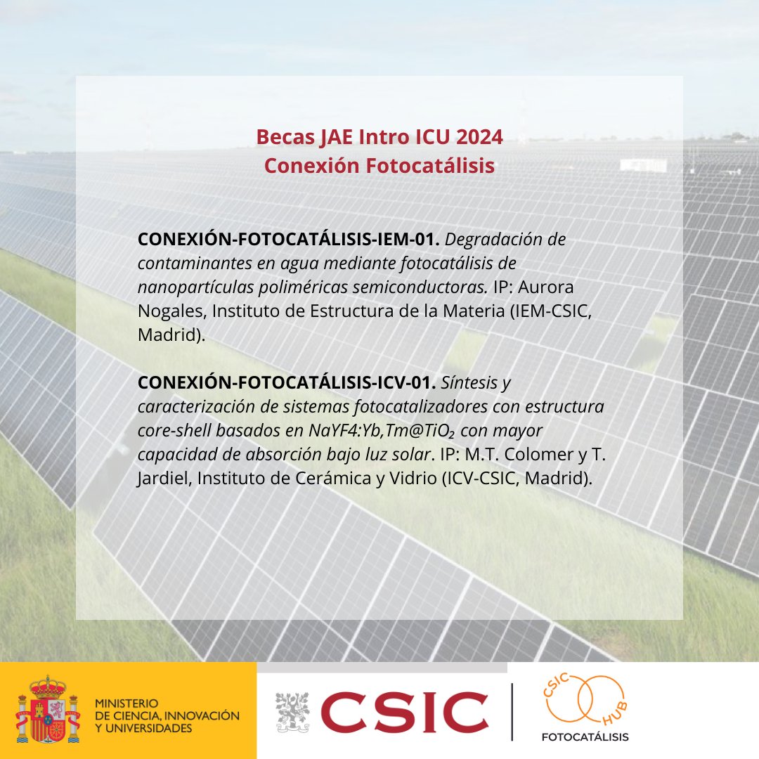 Conexión Fotocatálisis tweet media