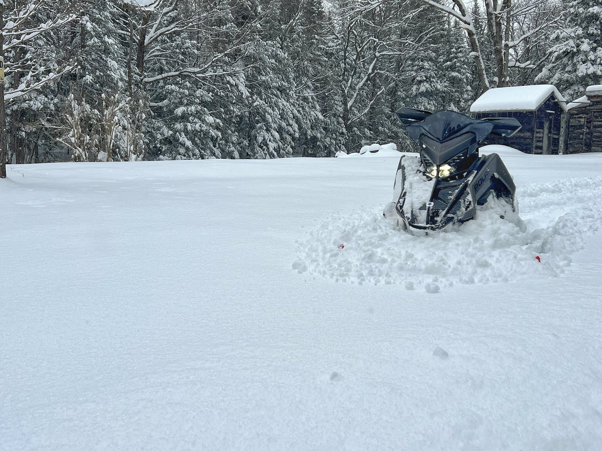 Got past 1st Spring. Maybe the next one will stick!  Braaap #lifebehindbars #secondWinter #upstateny