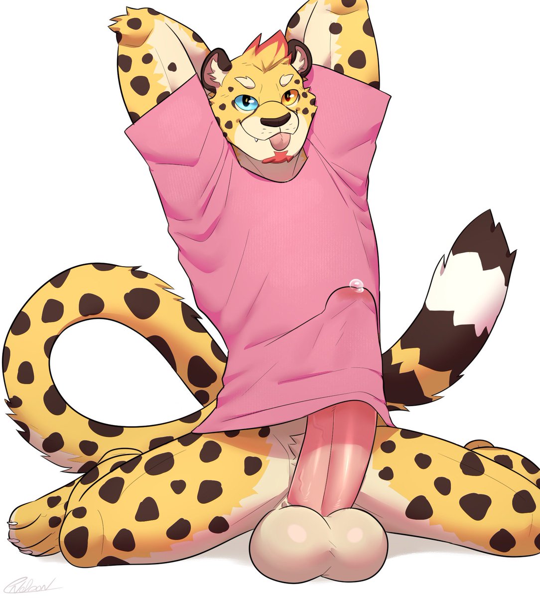 Cutie cheetah ~