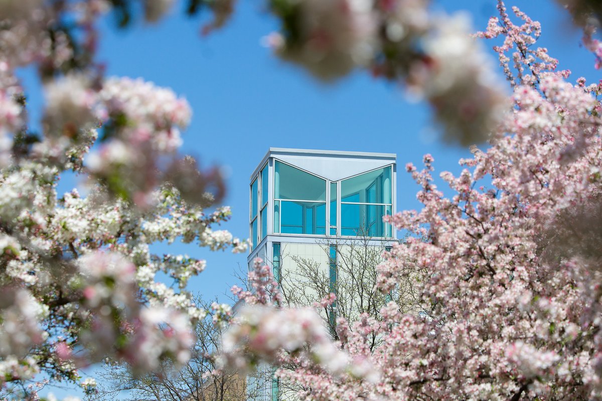 Reminder: SCC Campuses will be closed starting Thursday, March 21, for Spring Break. Campuses will reopen Monday, March 25. We hope your Spring Break is off to a great start!
