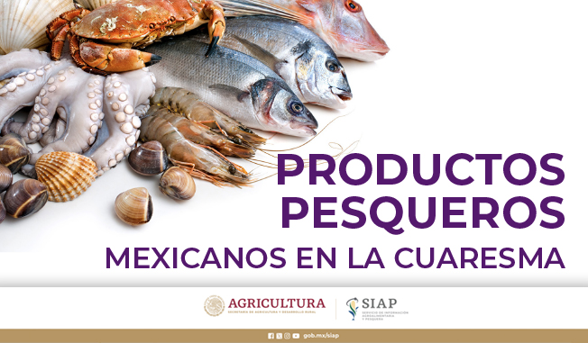 DGSIAP_Mx's tweet photo. #SIAPInforma Publicación con indicadores 📊de producción nacional 🇲🇽de especies pesqueras 🎣 que conforman la oferta para abastecimiento de la demanda estacional con motivo de la celebración de la #Cuaresma2024.

👉https://t.co/X5GDx9JIYM🌐 https://t.co/XA9prI3rhM