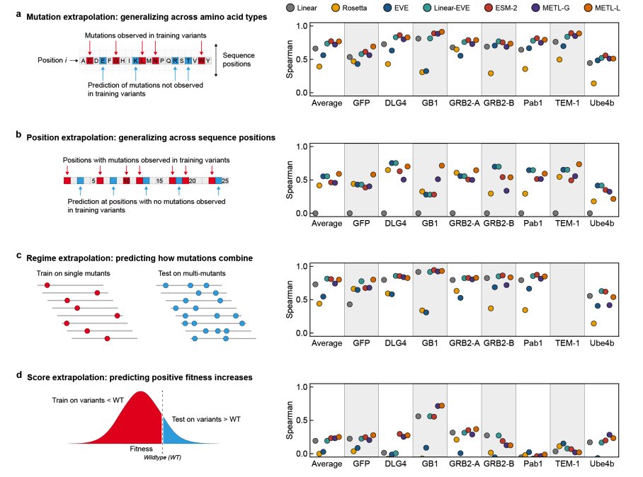 KevinKaichuang's tweet image. Compute Rosetta energies for protein variants and use them as pretraining targets to improve generalization on difficult protein property prediction tasks. 

@romerolab1  @anthonygitter