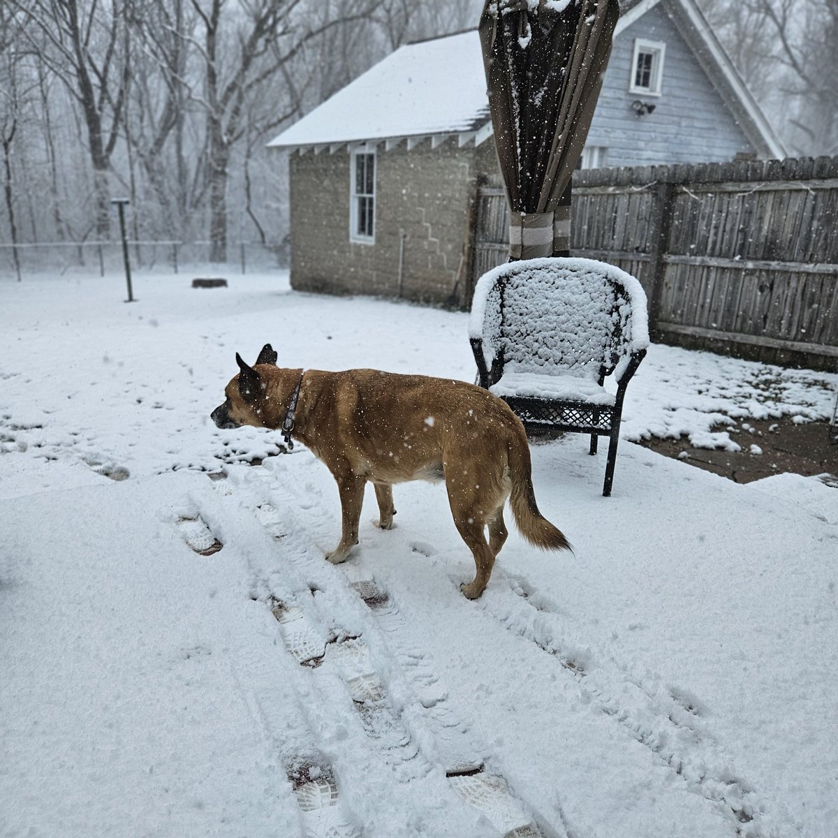 Mother Nature, this is ridiculous! Who peed in your cheerios dis morning?
#Wednesdayvibe #HumpDay #DogsOfX #HappinessDay