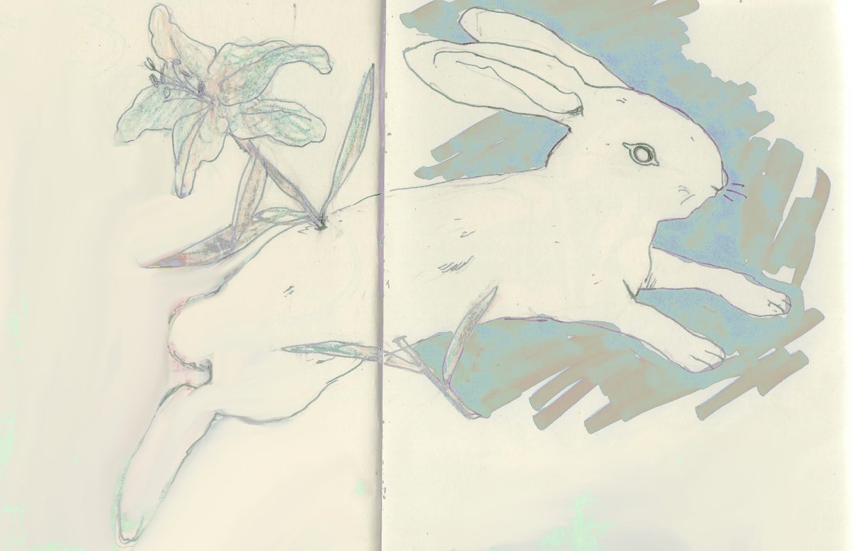 ivia01's tweet image. Скетчпук 🤲