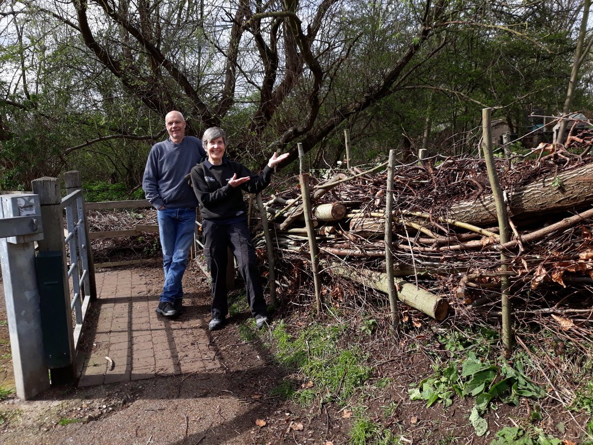 Kit Strange tweet media