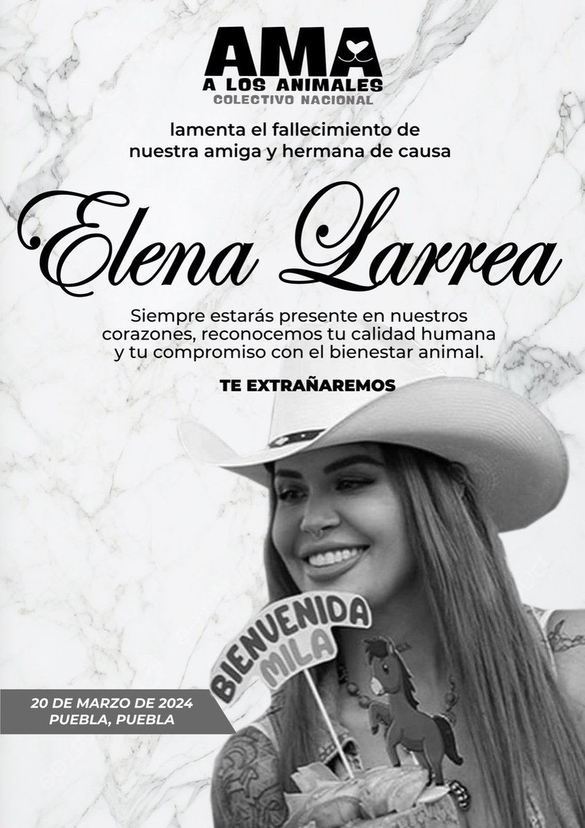 🕊El dia de hoy al amanecer recibimos una noticia que nos ha dejado consternados, nos duele mucho. Lamentamos el fallecimiento de nuestra amiga Elena Larrea de @Cuacolandia Siempre te recordaremos querida Elena,🕊 Les pedimos una oración por ella.