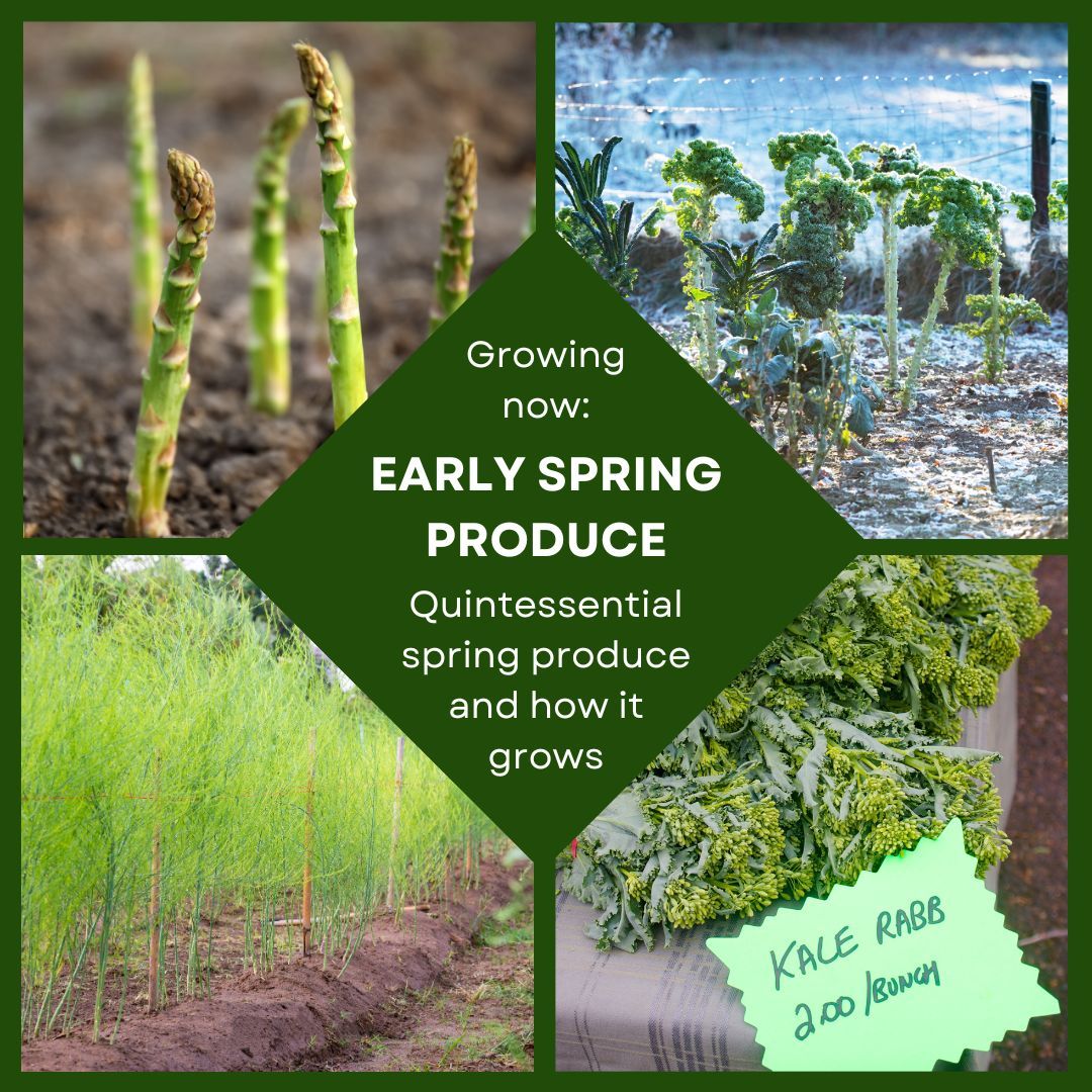 Produce Perks tweet media