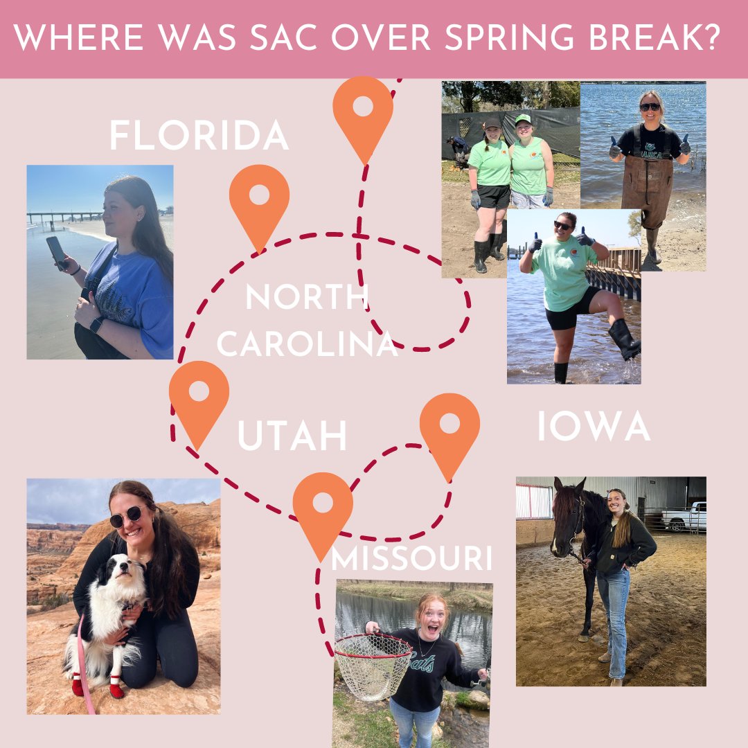 This is where we were over spring break! 🌸💫 Let us know what you did!