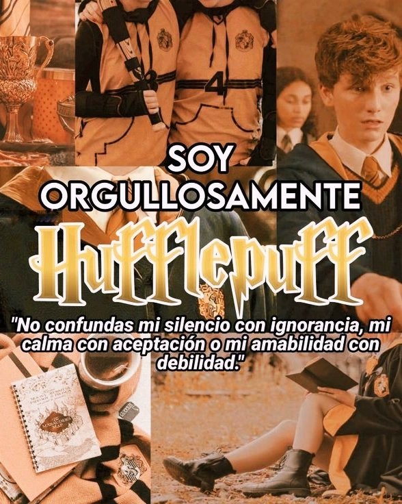 Alice Design tweet media