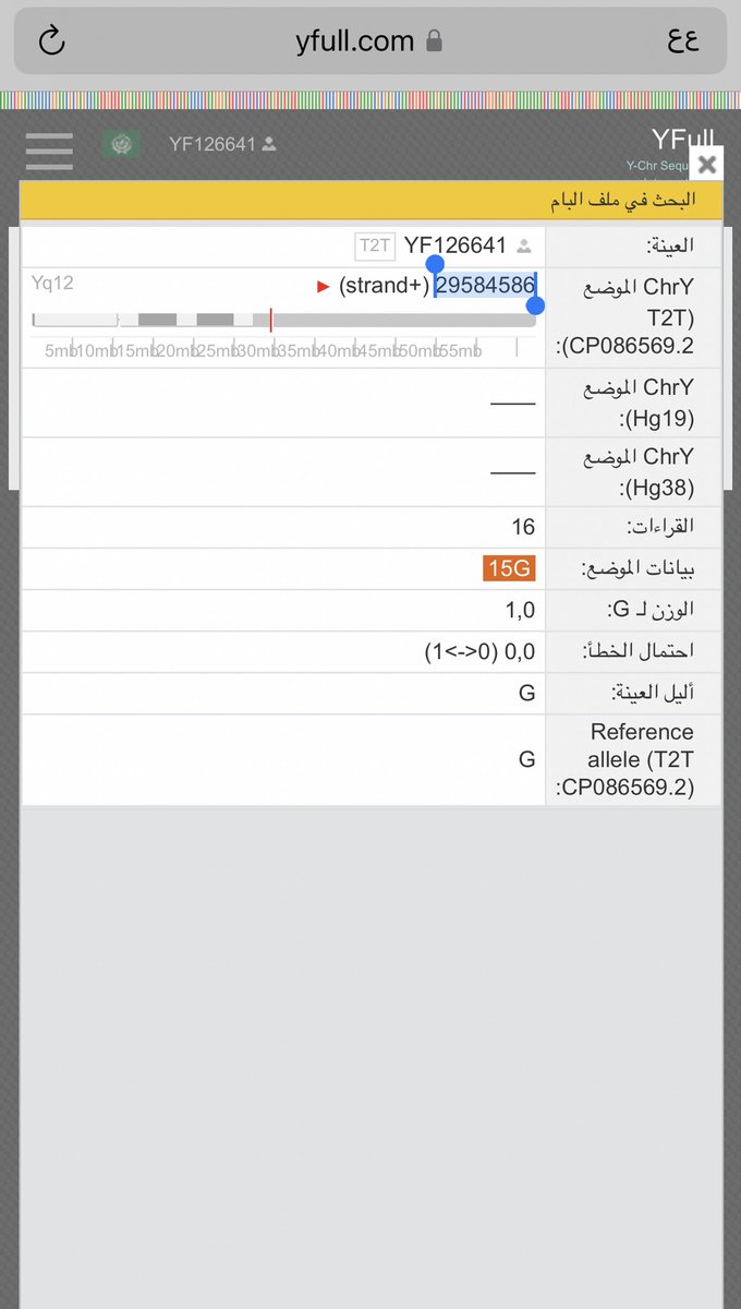 q8_kanon's tweet photo. ظهر في Yfull التحور Y504389
 هو نفسه التحور KHU54 
الذي جمع تحته في المشجر الصيني 
كل من التحورات ALK391 و Y168446 و Y343693 و Y200776 
و Y183358 (ZS11276)
في حين اجتمع تحته في Yfull لحد الأن كل من التحور Y343693 و Y183358 (ZS11276)
متوقع مع اضافة المزيد من العينات بجوده عالية 
ستجتمع معها بقية الطفرات 
كما هو الحال في الموقع الصيني و الله اعلم
