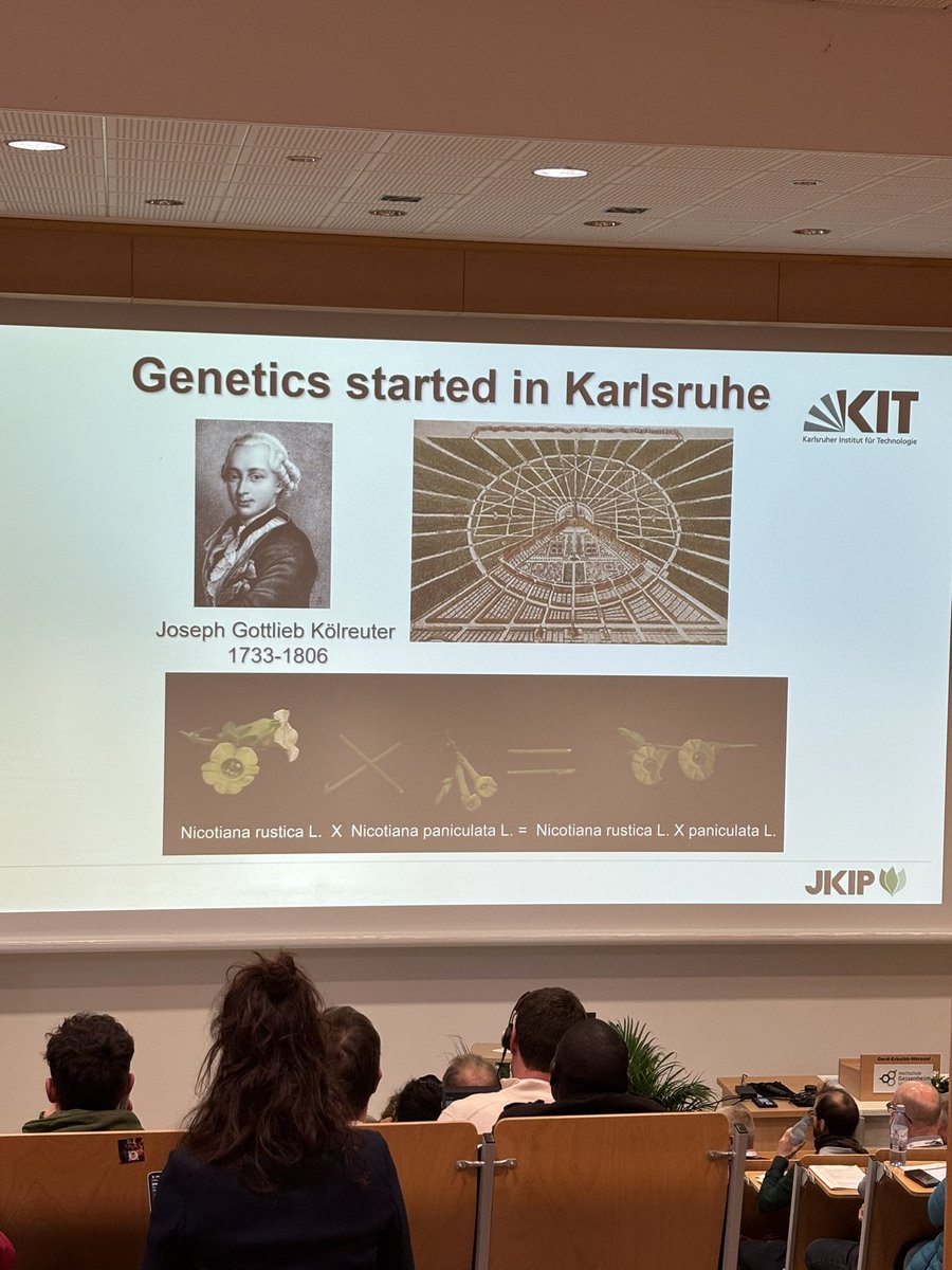 Frank Hochholdinger (@hochholdingerf) on Twitter photo Genetics started in Karlsruhe according to Holger Puchta‘s talk at the <a href="/GPZeV/">Gesellschaft für Pflanzenzüchtung e.V. (GPZ)</a> meeting <a href="/GPZconference24/">GPZ conference 2024 in Geisenheim</a>. Joseph Köhlreuter‘s experiments confirmed sexual reproduction of plants. He was also the first who described heterosis. Genetics started in Karlsruhe according to Holger Puchta‘s talk at the <a href="/GPZeV/">Gesellschaft für Pflanzenzüchtung e.V. (GPZ)</a> meeting <a href="/GPZconference24/">GPZ conference 2024 in Geisenheim</a>. Joseph Köhlreuter‘s experiments confirmed sexual reproduction of plants. He was also the first who described heterosis.