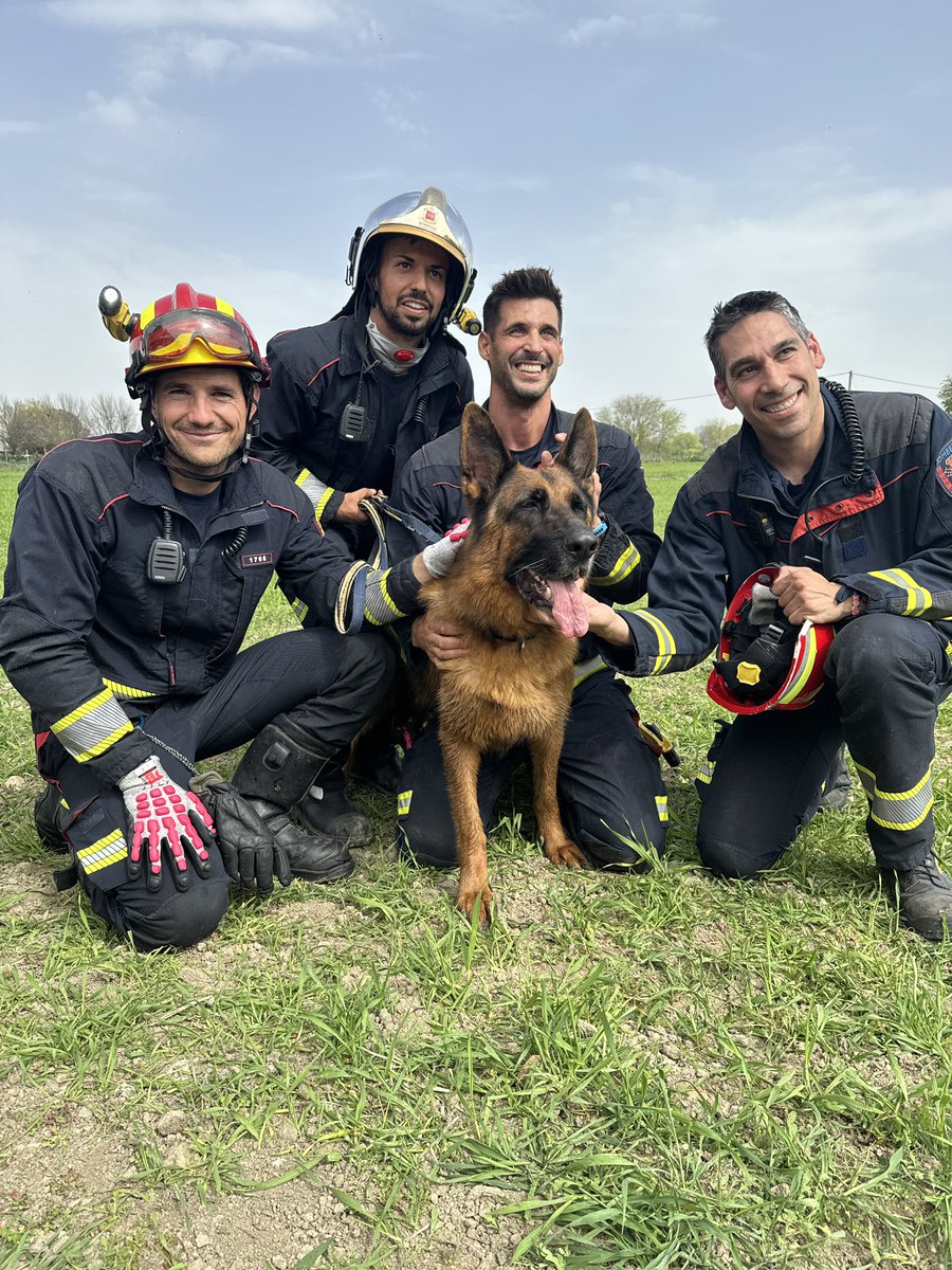 112cmadrid's tweet photo. 🧑🏼‍🚒 Los #BomberosCM rescatan a un perro, pastor alemán, que se encontraba dentro de un pozo a 4 metros de profundidad en #Leganés.

🐕“Rock” se encuentra en buen estado.

Colabora @policia_leganes. https://t.co/AYmJHPI32j
