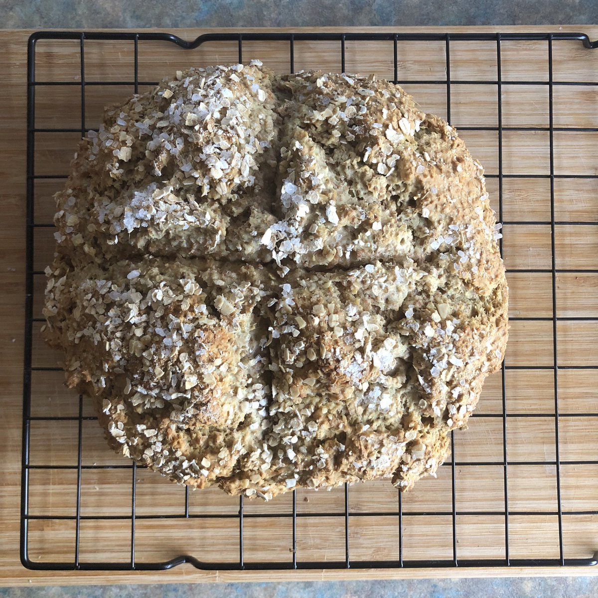 First post-surgery bake. Cracked sea-salt wheaten. Nature is healing.