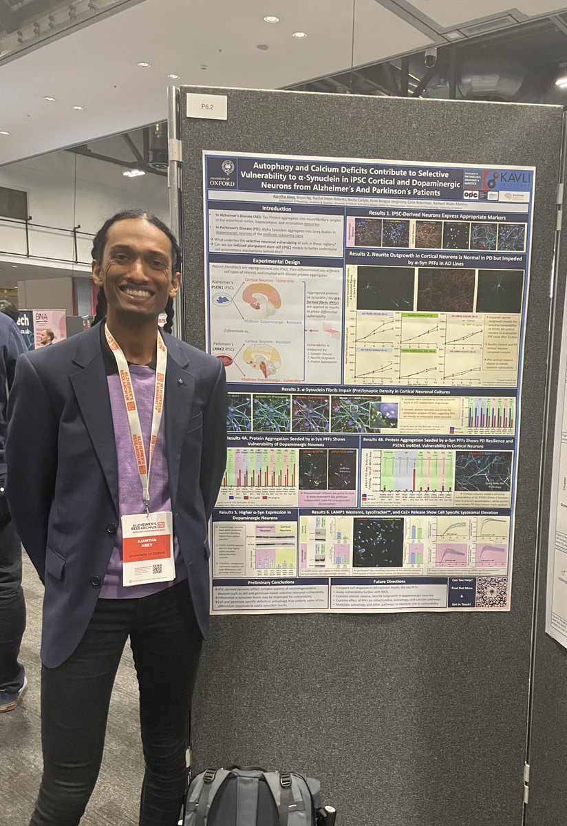 Come find me at Poster 6.02 this evening or tomorrow at @ARUKscientist’s #ARUKConf24! 

Excited to talk about selective vulnerability in our iPSC neuron models and all things alpha synuclein PFFs, autophagy, calcium, synapses, and more 😁