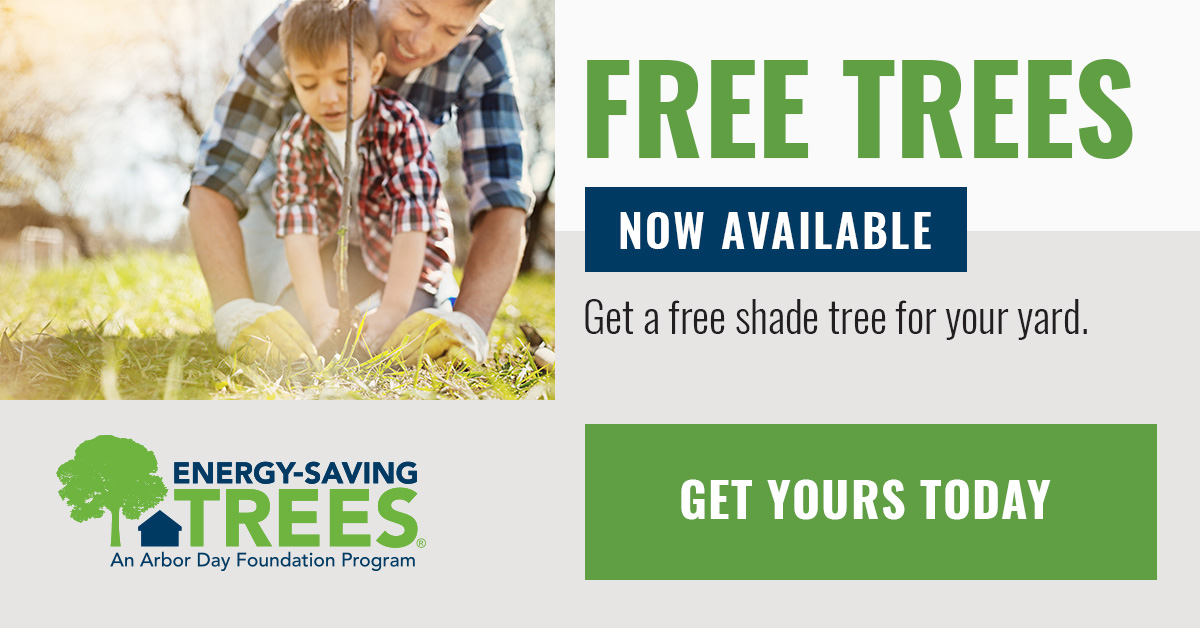 Don't miss this opportunity to claim your FREE tree today and join us in enhancing energy efficiency and sustainability at home. Reserve yours now while supplies last via our collaboration with @arborday. Discover more: spr.ly/6017kSYRh