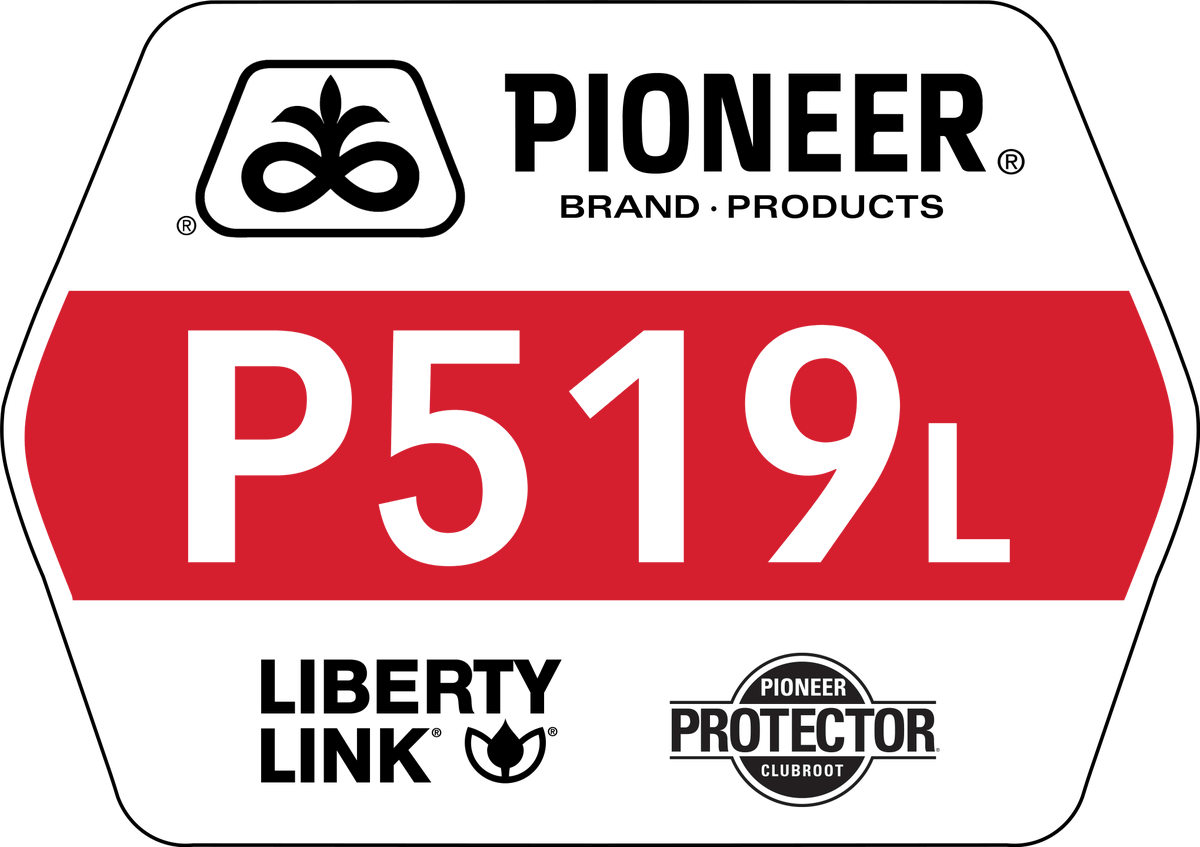 PioneerSeedsCA's tweet photo. The 3 newest additions to the @ PioneerSeedsCA #canola product suite ⬇️ https://t.co/0GMCtnRDDk
