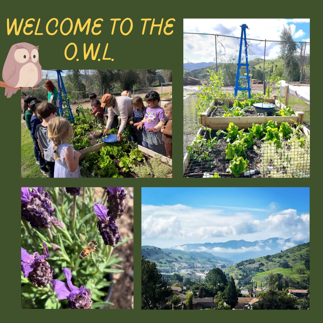 The Outdoor World Lab (O.W.L) at Lupin Hill Elementary School has been recognized by the National Wildlife Federation as a Certified Schoolyard Habitat! We are so excited to see the O.W.L. continue to grow! Congratulations!