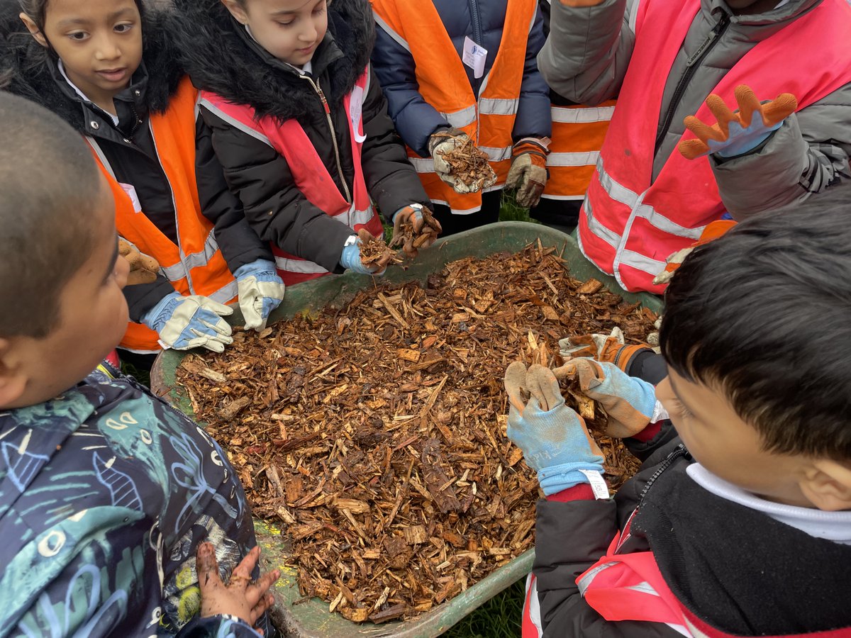 Stebon Primary (@stebon_primary) on Twitter photo Reception went to Mile End park to help <a href="/TreesforCities/">Trees for Cities</a>. They had a great time digging and even got to name the trees! Reception went to Mile End park to help <a href="/TreesforCities/">Trees for Cities</a>. They had a great time digging and even got to name the trees!