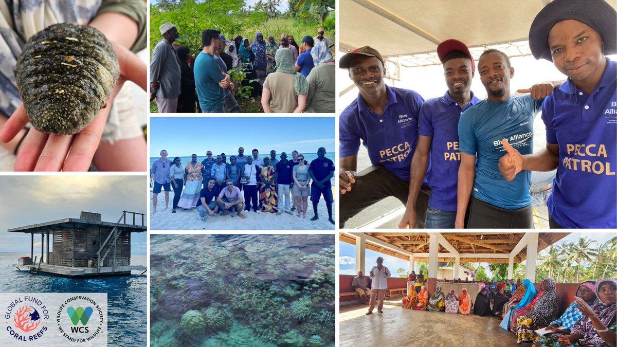 Recently #GFCR & @DefraGovUK reps conducted a mission to #Kenya & #Tanzania for the Miamba Yetu Programme led by @TheWCS. Visits incl. sewage treatment projects on Kenya coast, meetings w/ #Zanzibar Government & sustainable MPA finance projects in #Pemba ⏩lnkd.in/dhU5rq5s