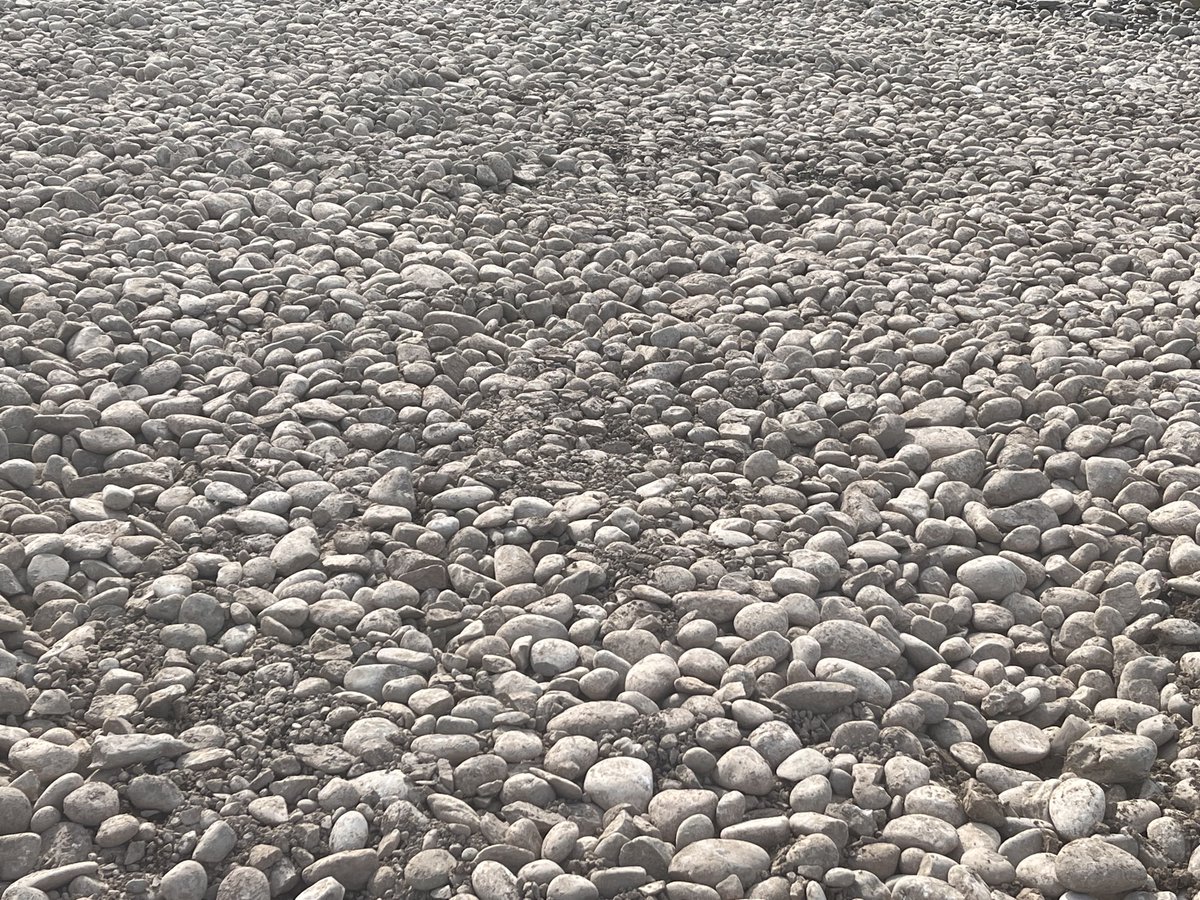 [#MulhouseSeTransforme] 🌞 La plage de galets se met en place aux Terrasses du musée. ✨

Après une période de hautes eaux, pendant laquelle il n’était pas possible d’intervenir, Rivières de Haute Alsace a démarré la mise en place des galets pour former la future plage !  🏖️