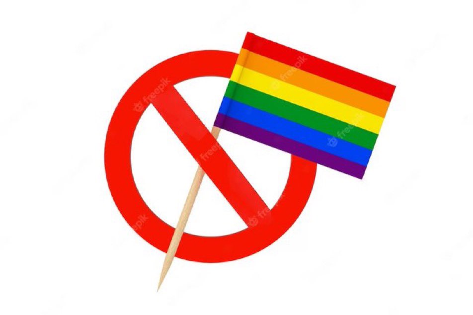 eduardomenoni's tweet photo. Levanta la mano si estás harto y cansado de la propaganda LGBTIQ+. https://t.co/1XpRpRAm9B