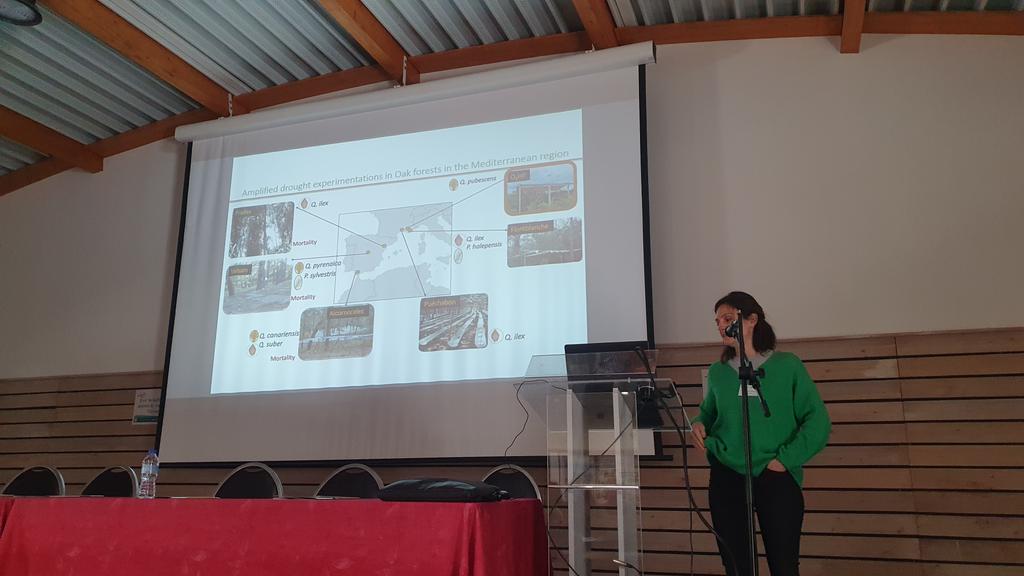 AnaEE France tweet media