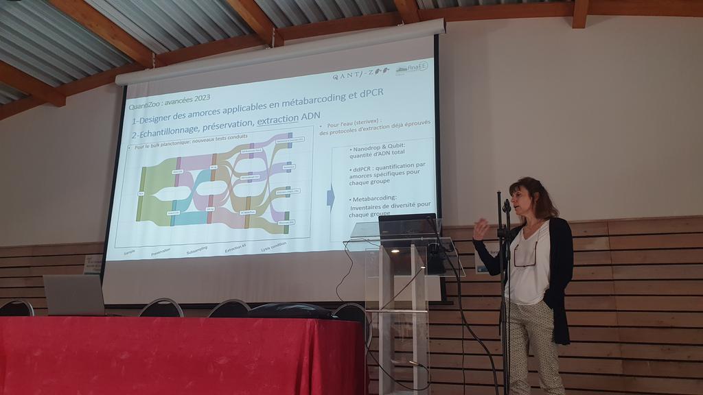 AnaEE France tweet media