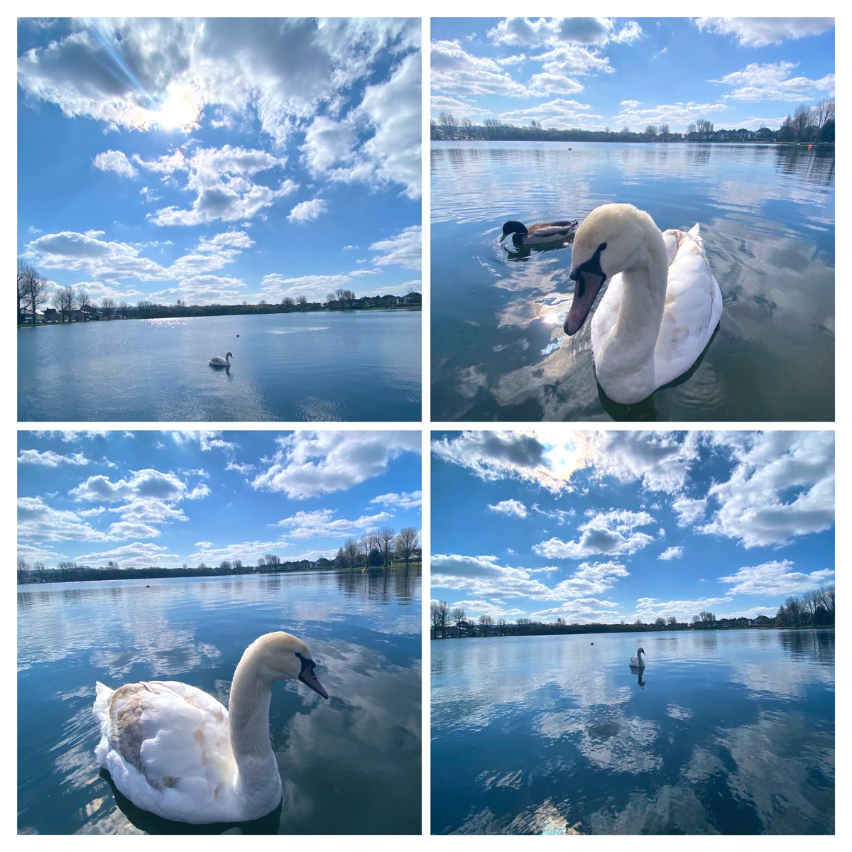 Such a beautiful day…☀️ ☀️☀️ #March20th #SpringEquinox #TheLoughCork #Cork #StormHour