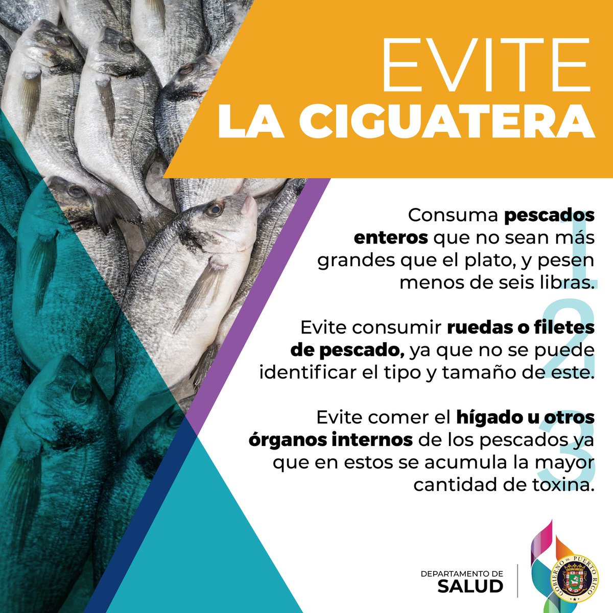 ¡Ojo! El pescado que consumes podría estar contaminado con ciguatera, una intoxicación alimentaria causada por toxinas dañinas. Aprende sobre qué es la ciguatera, sus síntomas y los tipos de peces asociados con esta intoxicación.

#CiguateraConsejos #CiguateraSíntomas