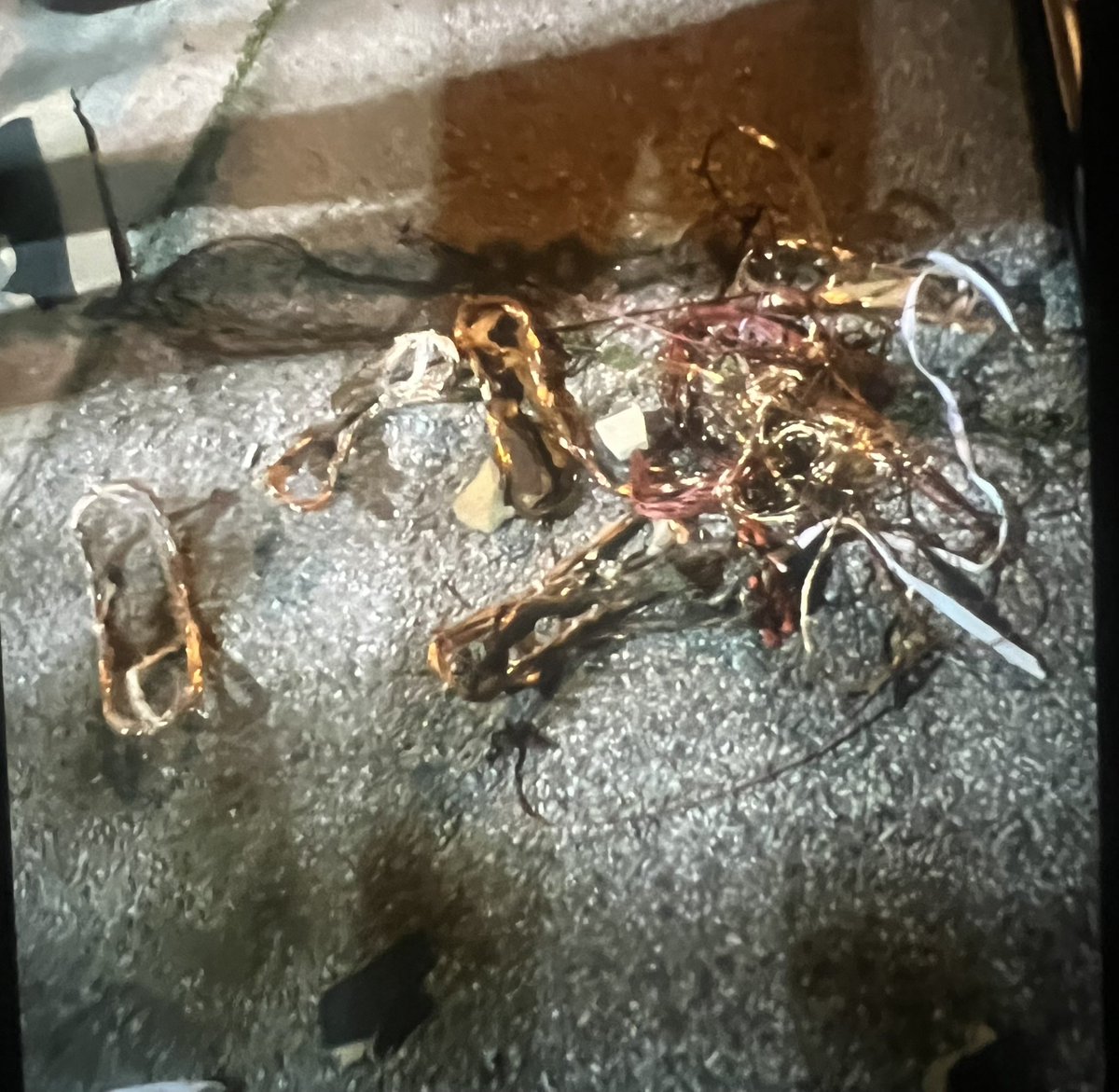 Michael A. Oreb tweet media