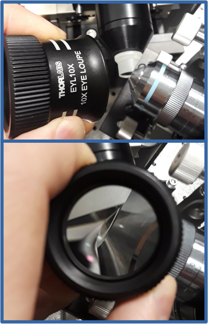 amsikking's tweet photo. I'm at #FOM2024 next week to present #AIRR microscopy and looking forward to reconnecting with the community! Reach out if you want to say hi or 'talk shop' on single-objective light-sheet (SOLS).

Pro tip: a @Thorlabs 10x eyepiece can help when aligning a tight tolerance SOLS! https://t.co/GozGqsvear