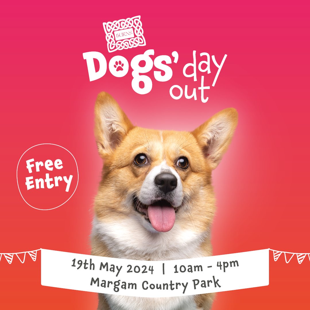 7️⃣ weeks to go! Join us at @Margampark for Dogs' Day Out 2024! Enter our Fun Dog Show, categories as follows; 🐾 11:30 Coolest Pup 🐾 12:00 Best Rescue 🐾 14:00 Golden Oldie 🐾 14:30 Loveliest Lady 🐾 15:00 Fabulous Fella Only £1 to enter and prizes for 1st, 2nd and 3rd.