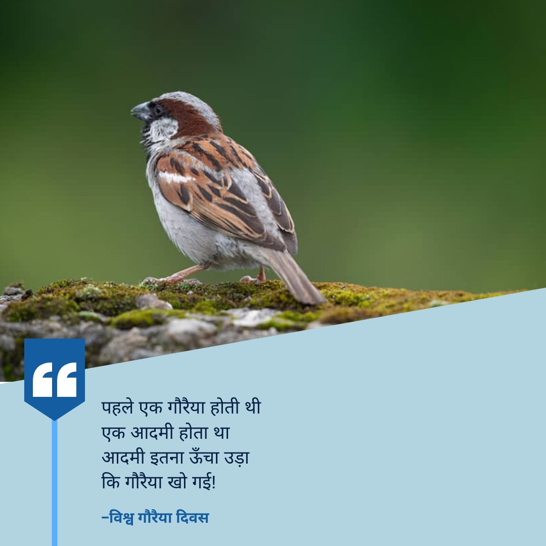 विश्व गौरैया दिवस