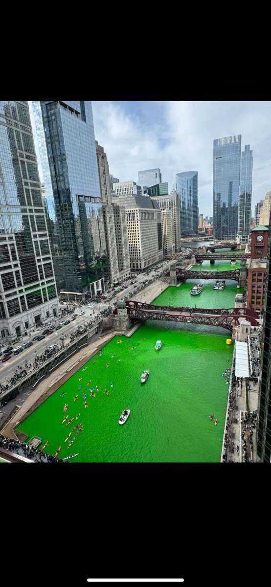 Courtney D. Dill, PhD, MSBR, MSCR tweet media