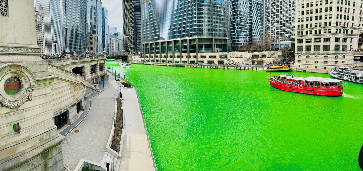 Courtney D. Dill, PhD, MSBR, MSCR tweet media