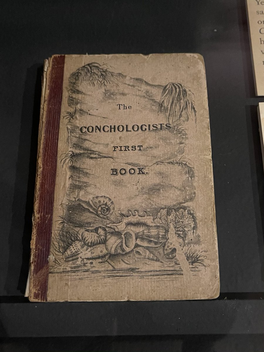 I knew about the horror, poetry and detective stories, but I didn't know that Edgar Allan Poe was also a #ScienceWriter! The best selling book of Poe's lifetime was the 'Conchologist's First Book,' a book on seashells!

One of many fun facts I learned at the wonderful
@PoeMuseum!