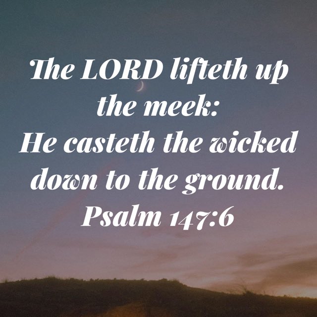 Blessed are the meek❤️