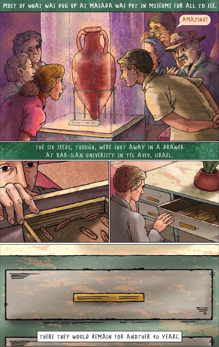 Anna Olswanger (@annaolswanger) on Twitter photo Author-illustrator <a href="/MartinLemelman/">Martin Lemelman</a> talks about his latest graphic novel THE MIRACLE SEED, a true story of an extinct Judean date palm brought back to life through the hard work of two female Israeli scientists, on "The @BookofLifePod": bit.ly/3ToiRpn Author-illustrator <a href="/MartinLemelman/">Martin Lemelman</a> talks about his latest graphic novel THE MIRACLE SEED, a true story of an extinct Judean date palm brought back to life through the hard work of two female Israeli scientists, on "The @BookofLifePod": bit.ly/3ToiRpn