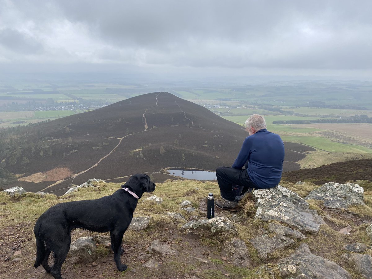 gforce_14's tweet photo. Perfect way to spend a Wednesday roaming the hills with Duke of Edinburgh GOAT and Jet
#ScottishBorders #Eildons https://t.co/OGnrHtEDHs