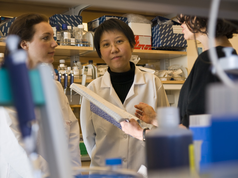 In 2023, for the 44th year, the @UCSF School of Pharmacy received more research funding from the National Institutes of Health (@NIH) than any other pharmacy school in the country, with school researchers netting $36,769,061 million to fuel their efforts. tiny.ucsf.edu/i2CLne